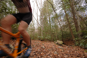 va creeper trail